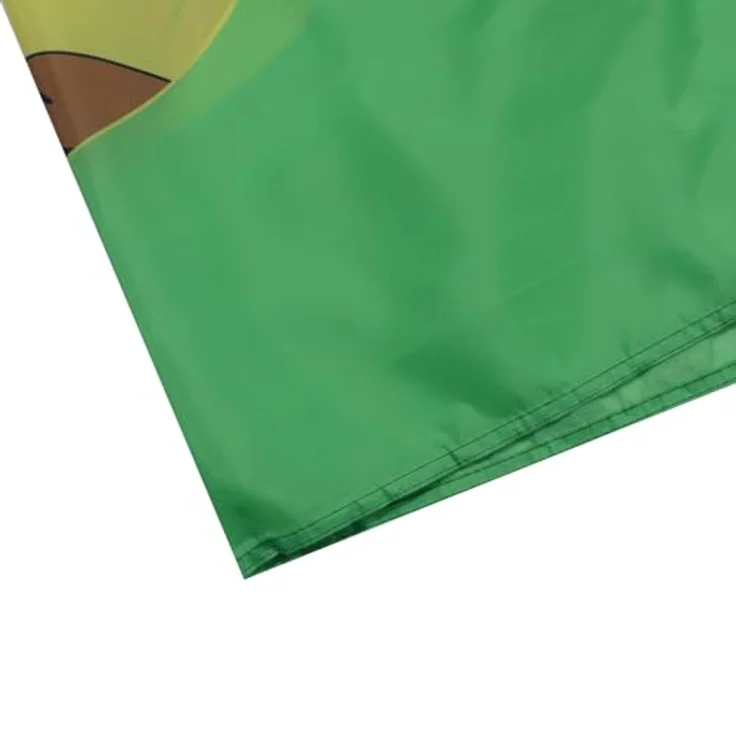 AZ FLAG Zairische Fahne, 90x60 cm, 100% Polyester mit Messing-Ösen, doppelt genäht, verstärkte Ecken, für Innen & Außen – Bild 4