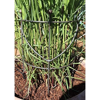 Kesxaus Pflanzenstützen Set - 6 Stück 30-90cm Verstellbar Mit Ringen