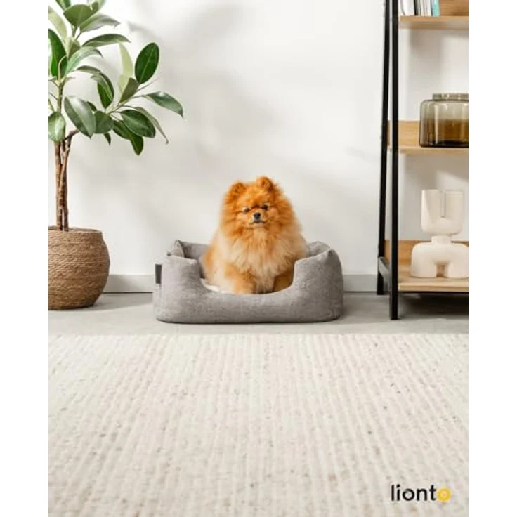 lionto Hundekörbchen mit flauschigem Wendekissen, kuscheliges Heimtierbett in meliertem Design mit tiefem Einstieg für Hunde & Katzen aller Größen, 60x50 cm, weiches Hundebett, grau – Bild 2