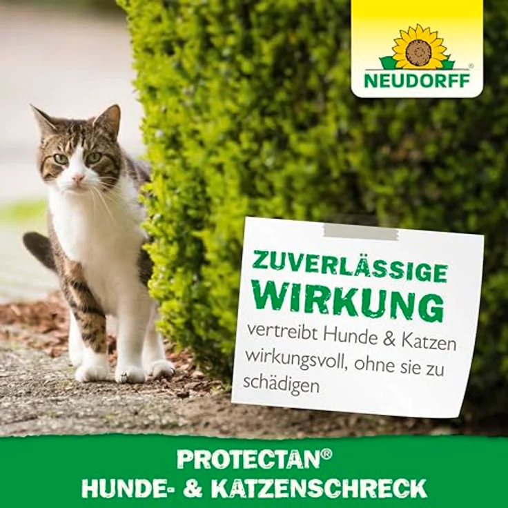 Neudorff Protectan Hunde- und KatzenSchreck – vertreibt effektiv störende Hunde und Katzen in Innenräumen und im Außenbereich, anwendungsfertig, 500 ml – Bild 6
