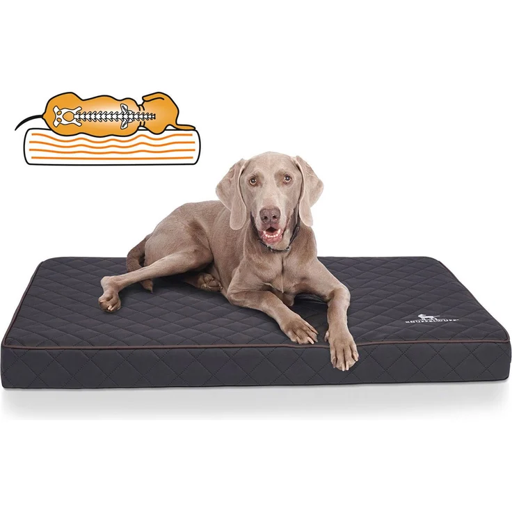 Knuffelwuff orthopädische Hundematte Juna schwarz XXL