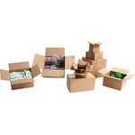 EVO-Products Karton 1-wellig,VE25, 590x290x130mm, Q.1.3