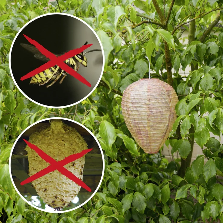 Gardigo Wespennest 2er-Set – Bild 2