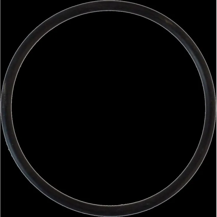 Sanicomfort O-Ring für Heizölfilter, Abdichtung für Filtertasse und Filterkopf, passend für Sanicomfort