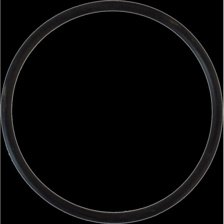 Sanicomfort O-Ring für Heizölfilter, Abdichtung für Filtertasse und Filterkopf, passend für Sanicomfort