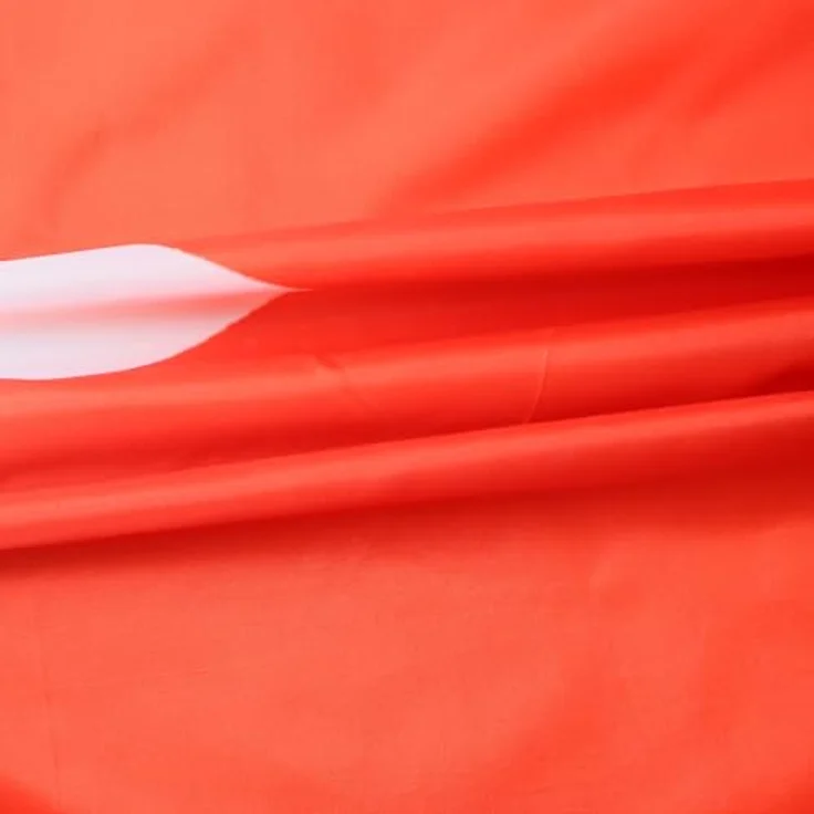 AZ FLAG Flagge Monaco, 90x60 cm, monegassische Fahne aus 100% Polyester mit Messing-Ösen, verstärkte Ecken, für Innen & Außen – Bild 3