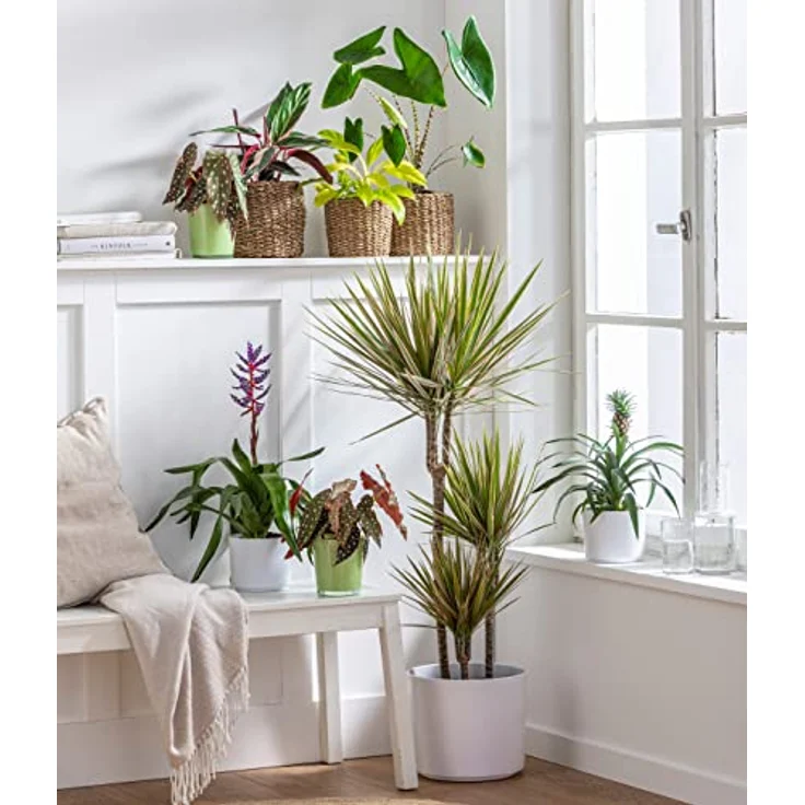 Dehner Übertopf Nele, Ø 28 cm, Höhe 24 cm, Keramik, weiß – Bild 3