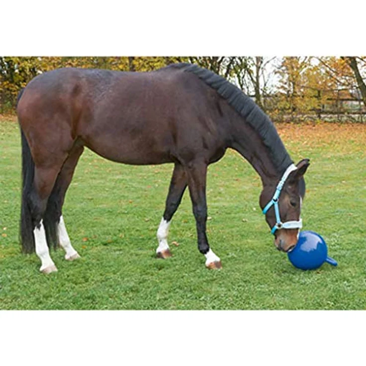 Covalliero Pferdespielball, robustes Tier-Beschäftigungsspielzeug mit 25 cm Durchmesser, unaufgepumpt – Bild 2