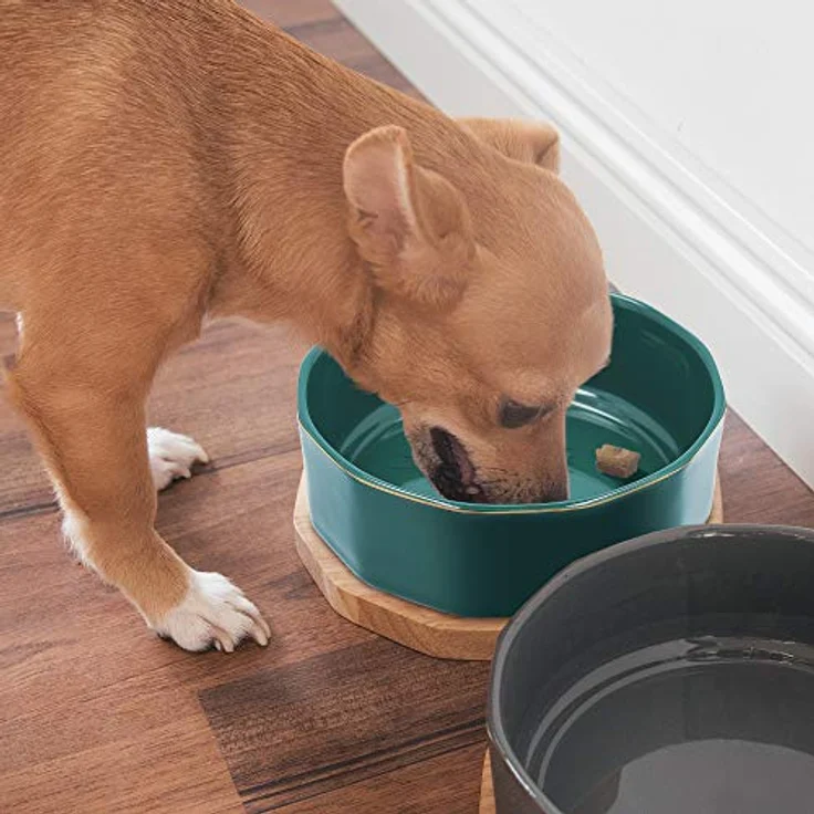 Navaris Fressnapf Futternapf Set aus Keramik - 2X Hundenapf Katzennapf Futterschale mit Unterlage aus Eichenholz - Fressnäpfe für Hunde und Katzen – Bild 2