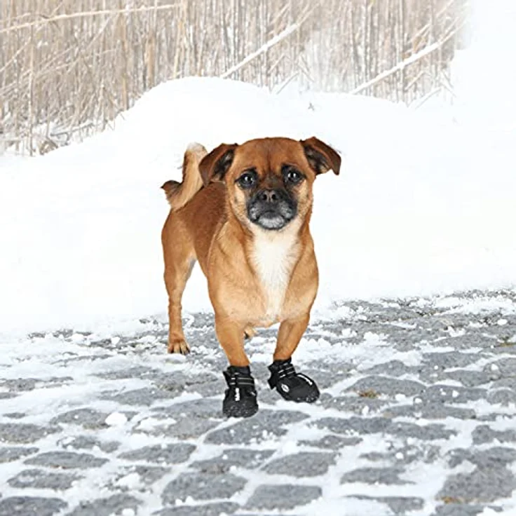 Trixie Katzen- und Hundebox Traveller Capri 3 hellgrau/grau – Bild 2