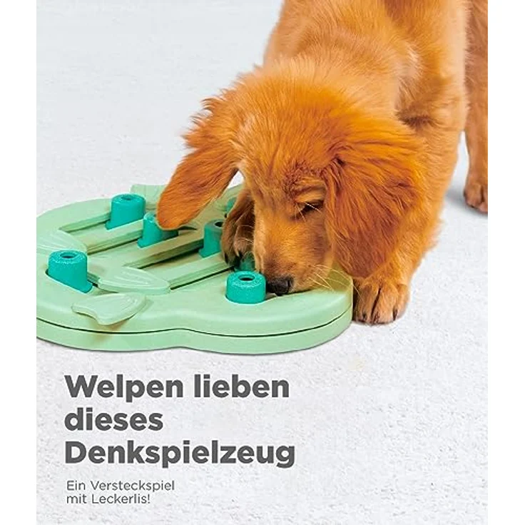 Outward Hound Nina Ottosson Puppy Hide n' Slide - Interaktives Leckerli-Denkspielzeug für Hunde - Grün – Bild 4