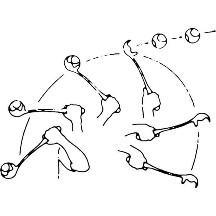 Kerbl Pet Maxi Speed Weitwurfstab mit Tennisball 65cm – Bild 2