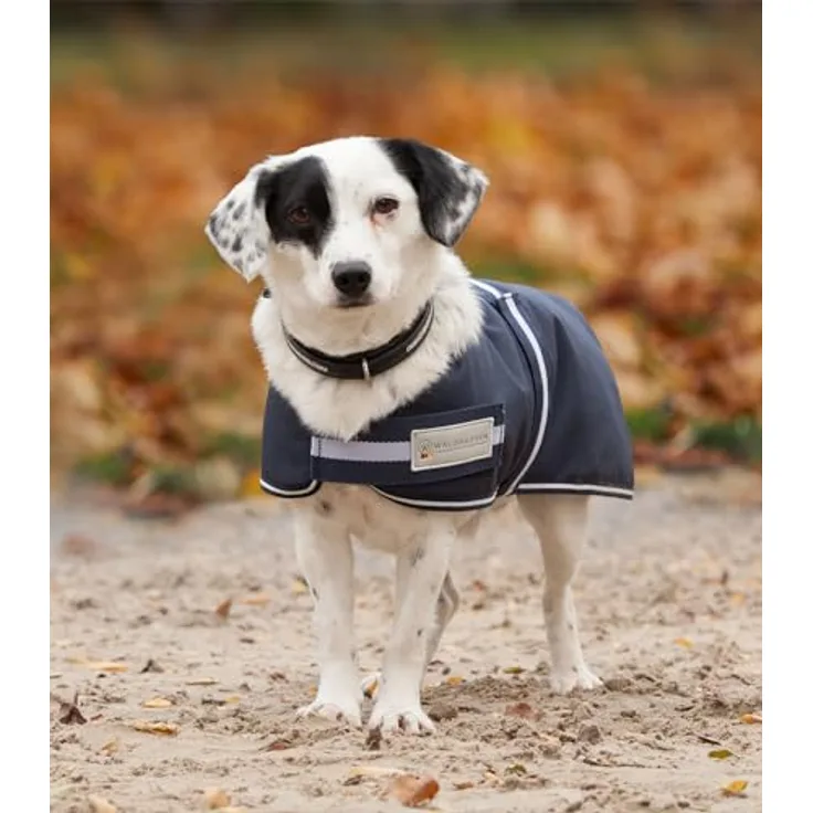 Waldhausen Hundemantel Comfort Line, wasserdichte Hundedecke mit 200g Thermofüllung und breiten Klettverschlüssen, 1200 Denier Außenmaterial