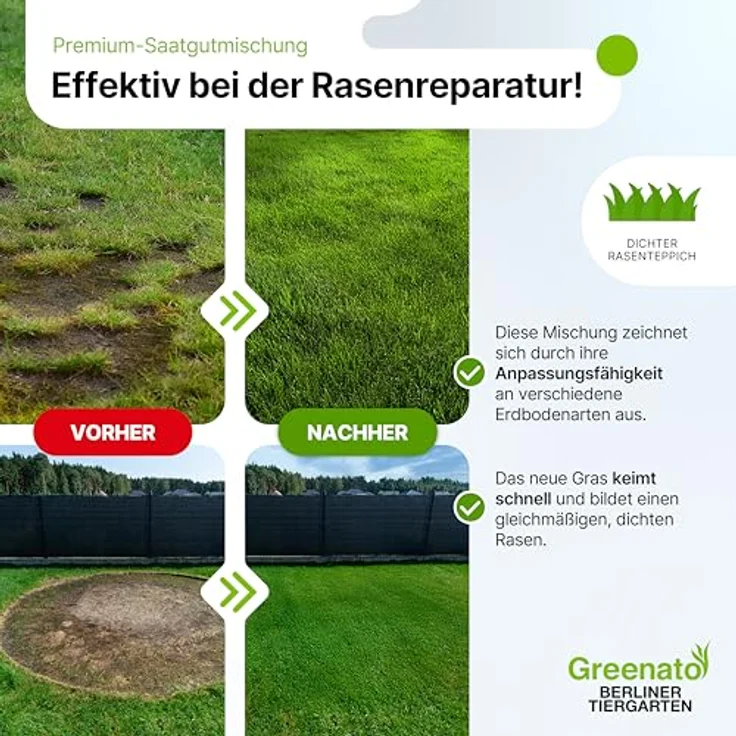Greenato Rasen Nachsaat 1kg Berliner Tiergarten - schnellkeimend für Frühjahr und Herbst, Rasennachsaat für bis zu 100 m², Schattenrasen, unkrautverdrängend – Bild 5
