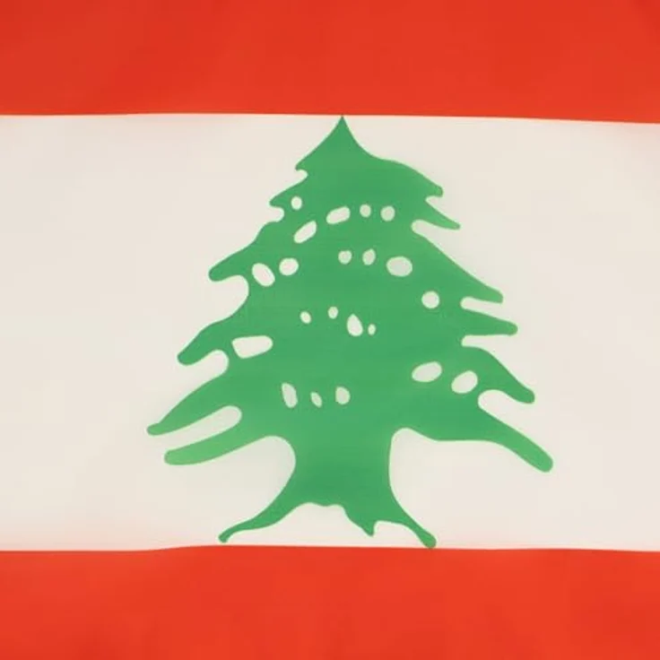 AZ FLAG Libanesische Flagge 30x45 cm aus 100D Polyester, mit Kordel und verstärkten Ecken – Bild 3