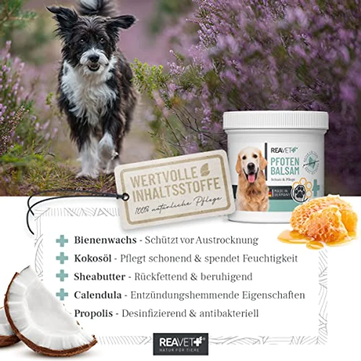ReaVET Pfotenbalsam Hund 120ml für weiche Hundepfoten - Natürliche Hunde Pflege mit Sheabutter, Kokosöl & Bienenwachs - Pfotenpflege Katze, Pfotenschutz Creme - Zubehör Winter & Sommer – Bild 3