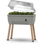 Sammy Salad - Balkonhochbeet - 15 L Wassertank mit Bewässerungssystem - inklusive Wasserstandsanzeige - 40 L Erdvolumen - abnehmbare Haube - 79 x 37 x 95cm - Hochbeet