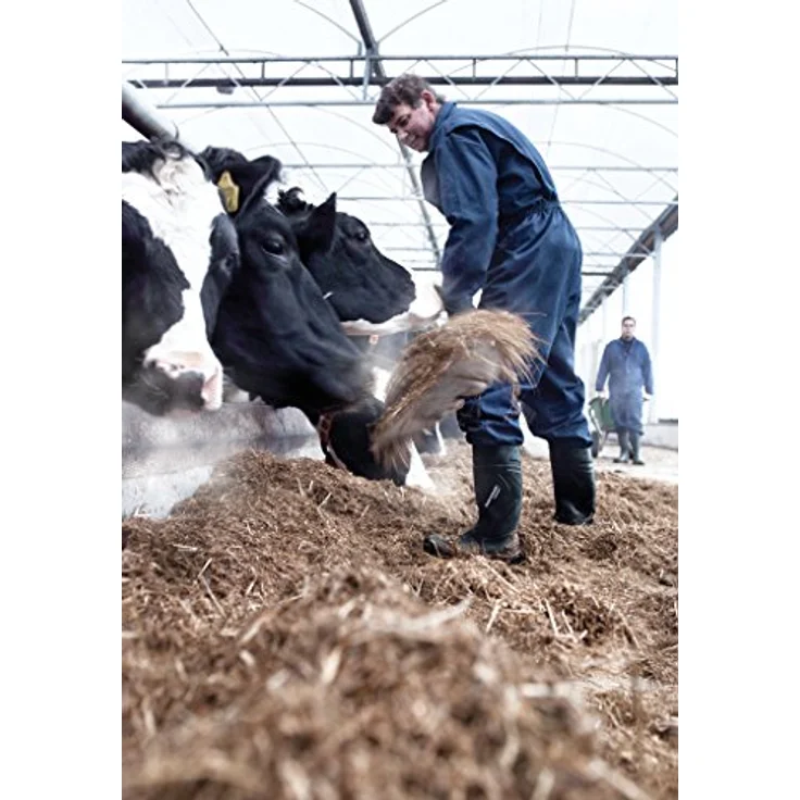 Dunlop® Purofort S5 Sicherheitsstiefel, Stahlkappe, rutschhemmende PU-Profilsohle, temperaturisolierend bis -20 °C, antibakterielles Innenfutter – Bild 7