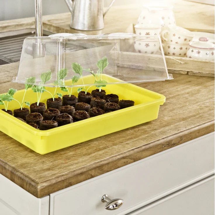 Windhager Haube für Aussaatschale 24 x 38 x 13 cm, transparent – Bild 2