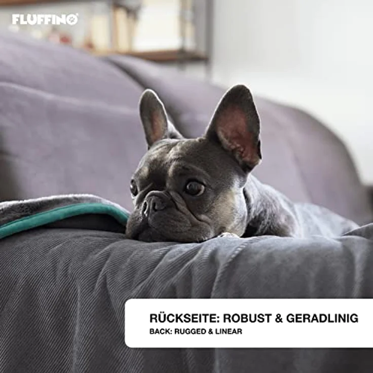 FLUFFINO® Hundedecke/Wendedecke - Hochwertig, flauschig weiche & robuste Oberseite (150x100 cm, 40°C waschbar, Grau) Kuscheldecke/Liegedecke für große und kleine Hunde - Sofadecke – Bild 3