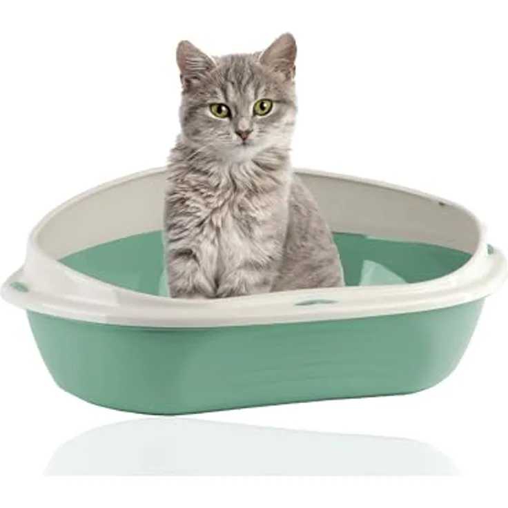 Rohrschneider® Eckiges Katzenklo | Katzentoilette für große Katzen | Katzenklo mit hohem Rand | platzsparende Ecktoilette Katze | Katzenklo in modernen Design | Katzentoilette groß (Grün)