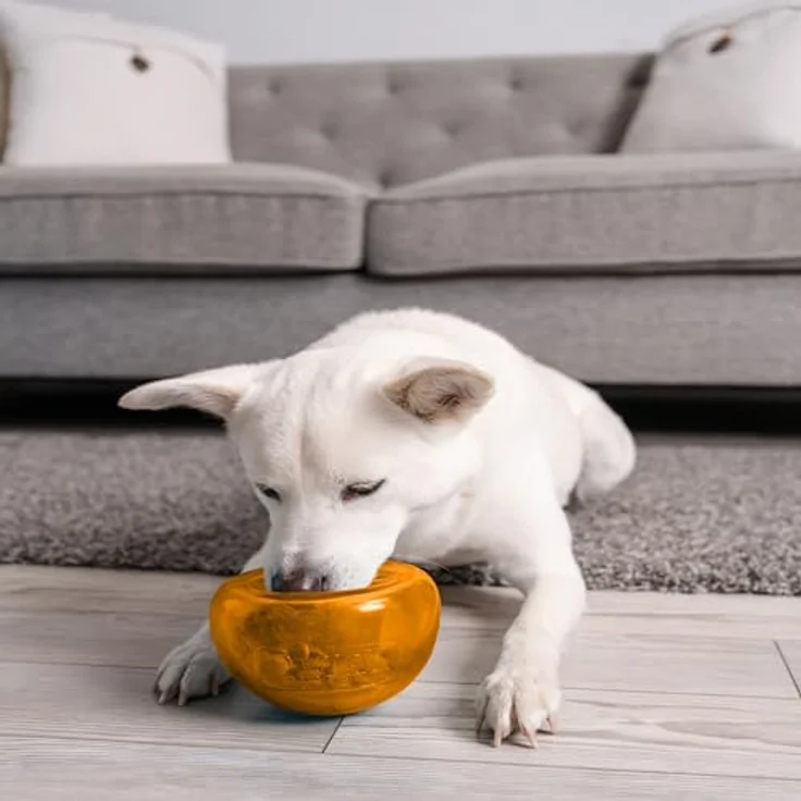Outward Hound Planet Dog Orbee-Tuff Snoop, Interaktives Snackball-Spielzeug für Hunde, orange, groß, fördert langsames Fressen, robustes Design, hergestellt in den USA – Bild 2