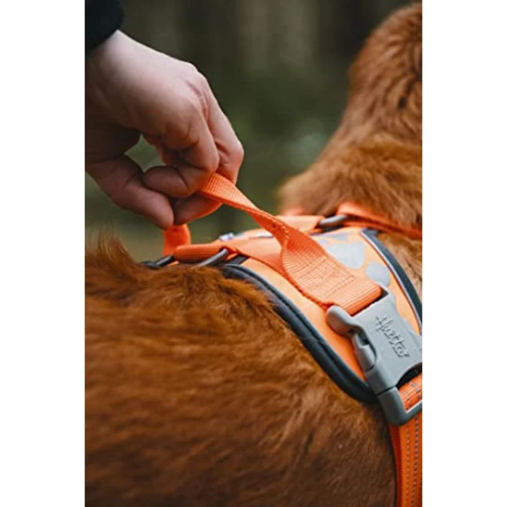 Hurtta Weekend Warrior Hundegeschirr für Hunde, Orange 40-45 cm – Bild 3