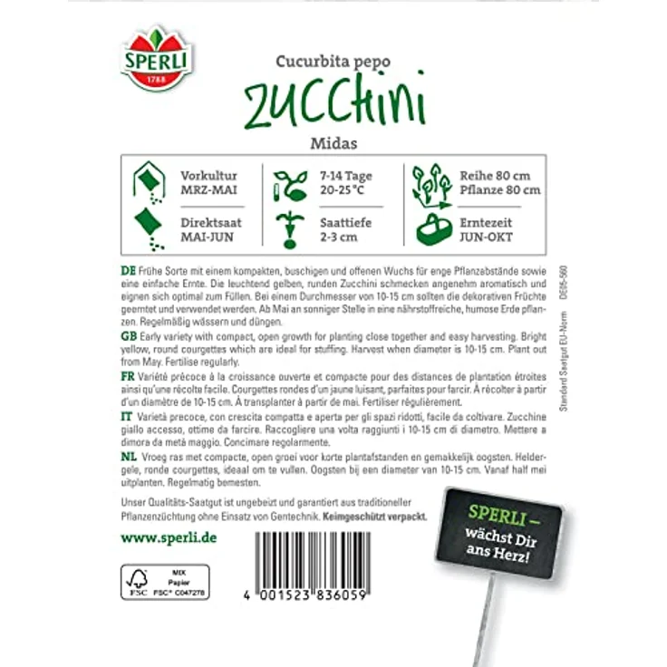 Sperli Zucchini Midas F1, frühe Sorte mit einem kompakten buschigen Wuchs, eignen sich optimal zum Füllen – Bild 3