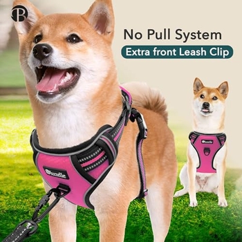 Doggie Stylz Hundegeschirr Mit Abnehmbaren Patches – Reflektierend, Verstellbar, Umfang 61 Cm