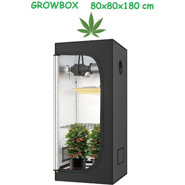JUNG Gewächshaus Growbox Indoor 80x80x180cm, lichtundurchlässig, robustes Design, mit transparentem Sichtfenster, Growzelt Weed Set, Gras 1-St.