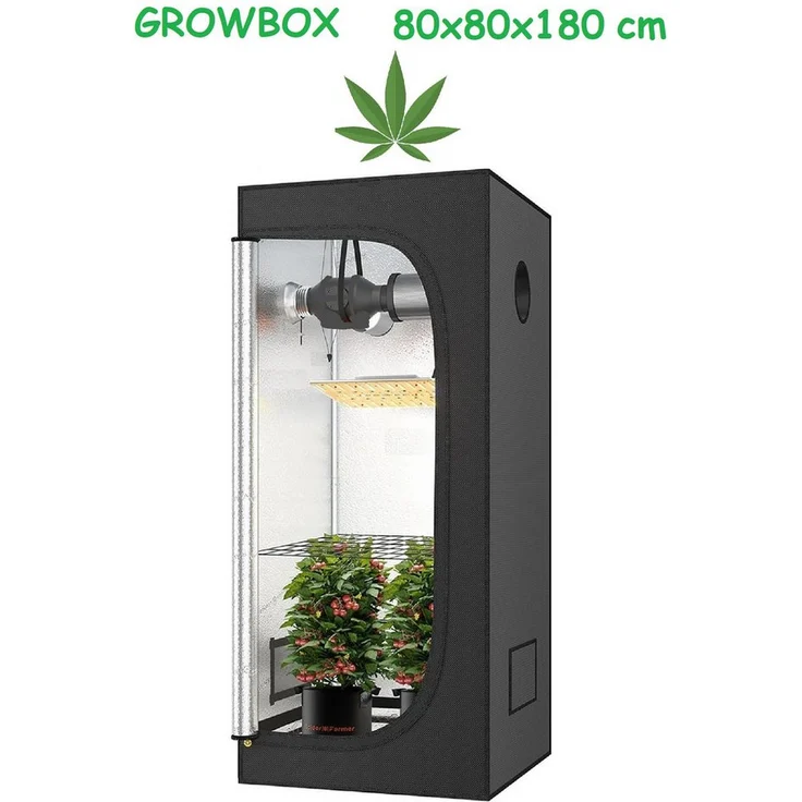 JUNG Gewächshaus Growbox Indoor 80x80x180cm, lichtundurchlässig, robustes Design, mit transparentem Sichtfenster, Growzelt Weed Set, Gras 1-St. – Bild 1