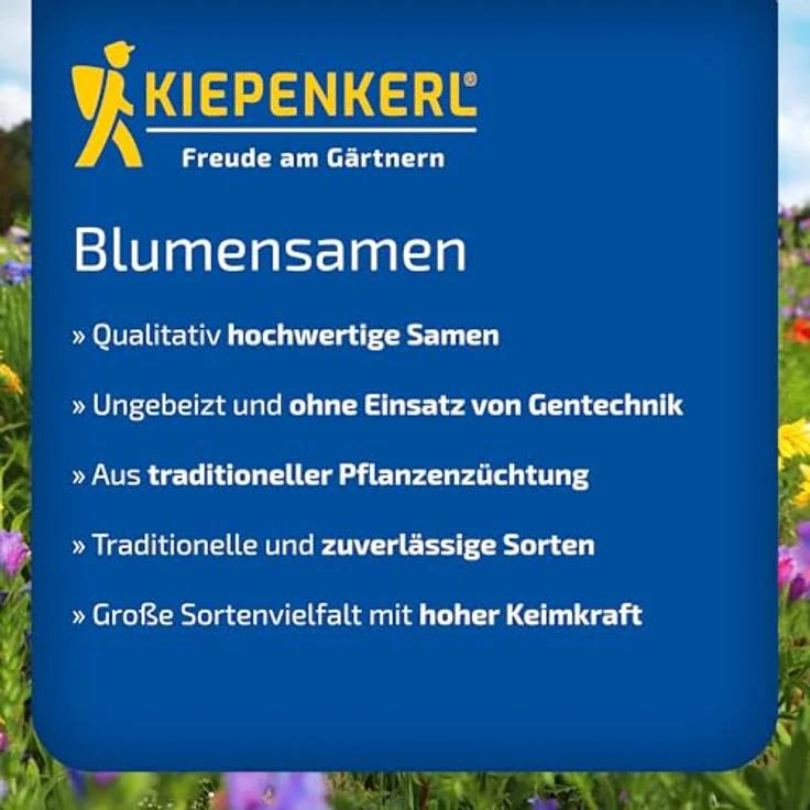Kiepenkerl Sonnenblume Gelber Diskus, Schnittblume mit leuchtenden Blüten, ideal als Sichtschutz – Bild 5