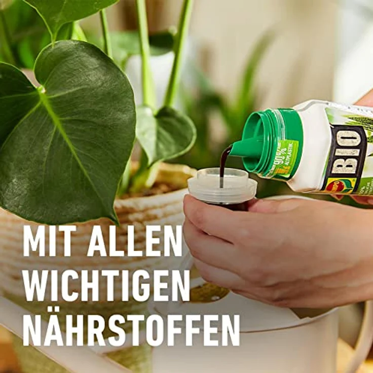 COMPO BIO Grünpflanzendünger und Palmendünger, Flüssig-Dünger mit 100% natürlichen Inhaltsstoffen, 500 ml, für gesunde Pflanzenentwicklung und hohen Eisen- sowie Magnesium-Anteil – Bild 4