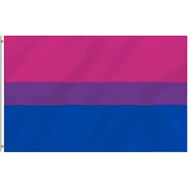 MOGADEE Bisexual Flag, 90 * 150cm mit Wetterschutz und UV-Schutz, hochwertige Oxford-Stoffflagge für Indoor und Outdoor, geeignet für LGBTQ Festivals und Paraden – Bild 1