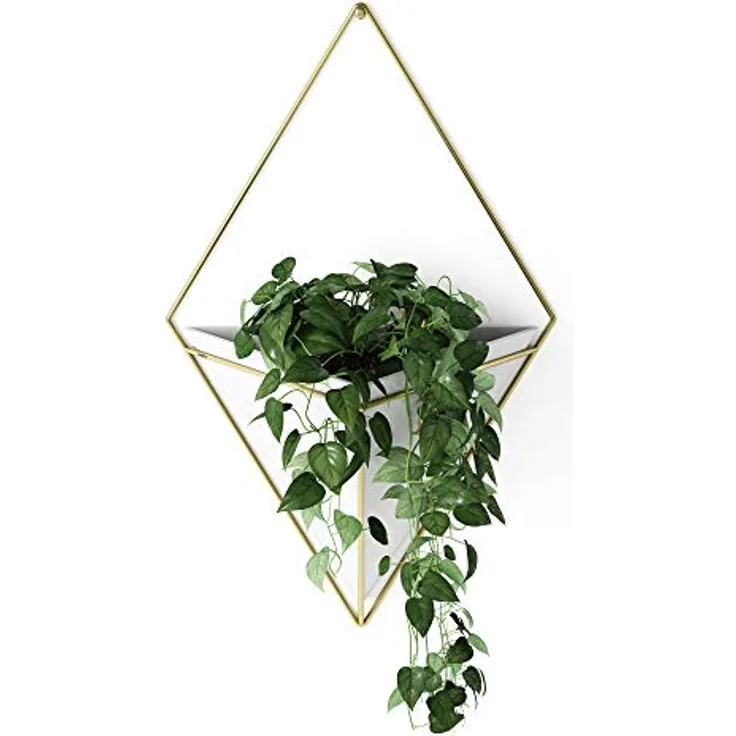 Umbra Trigg Wandvase & Geometrische Deko - Übertopf Für Zimmerpflanzen, Sukkulenten, Luftpflanzen, Kakteen, Kunstpflanzen und Mehr, Weiss/Messing, Gross