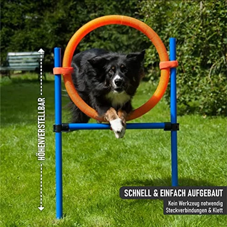 LEMODO Agility Set Hunde | Hundetraining mit Agility Hürde, Hundetunnel und Sprungring | Einfach zu transportierendes Hundetraining Zubehör | Einsteiger-Set in den Hundesport – Bild 4