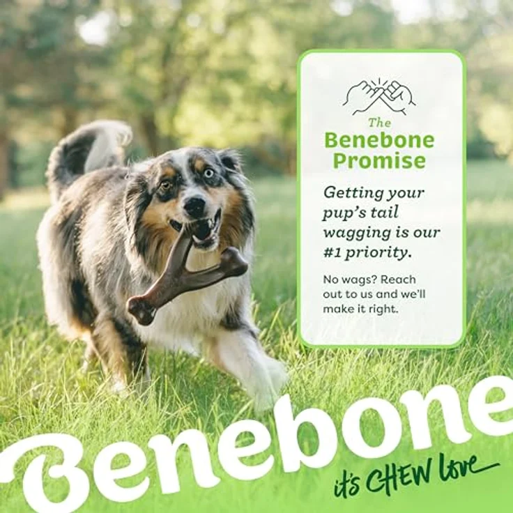 Benebone Wishbone Echter Huhn Medium Langlebiges Hundekauspielzeug für Aggressive Kauer – Bild 5