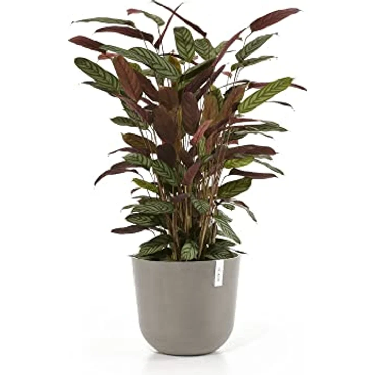 Ecopots Decolines 35 cm Ø Taupe Kunststoff-Blumentöpfe | Wetterfeste Blumentöpfe für Balkon und Terrasse – Bild 1