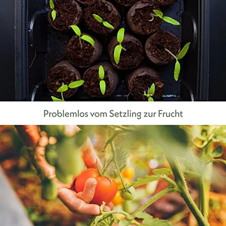 HappySeed Gewächshaus Set mit 60 Kokostabs - Ideale Wachstumsbedingungen, optimale Wasserverteilung & Feuchtigkeitsregulierung, für Kräuter, Gemüse & Blumen, dekorative Lüftungsklappe, in Deutschland hergestellt – Bild 6