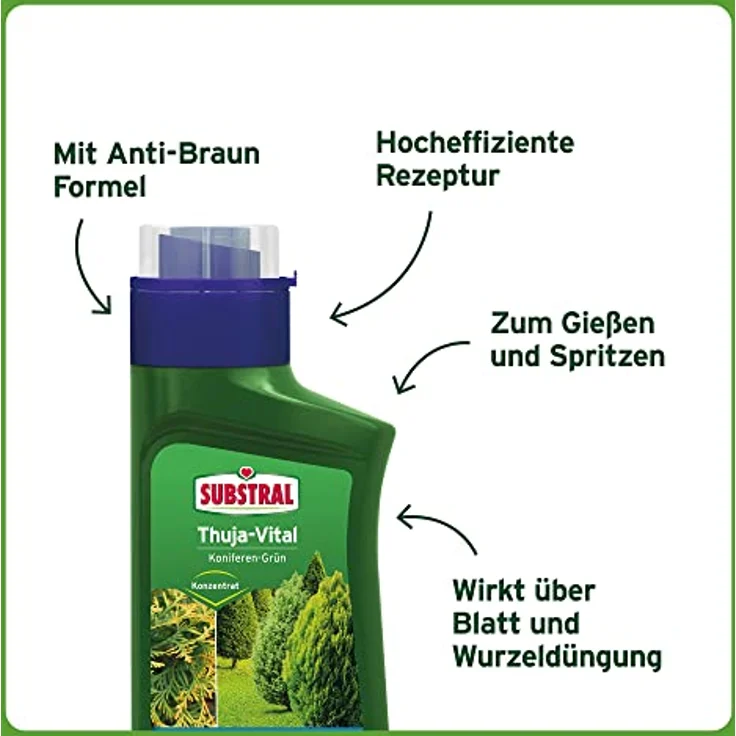Substral Thuja-Vital, Spezial-Dünger zum Spritzen und Gießen für Thujen, Zypressen, Buchs, Kirschlorbeer, o.ä., 500 ml – Bild 3