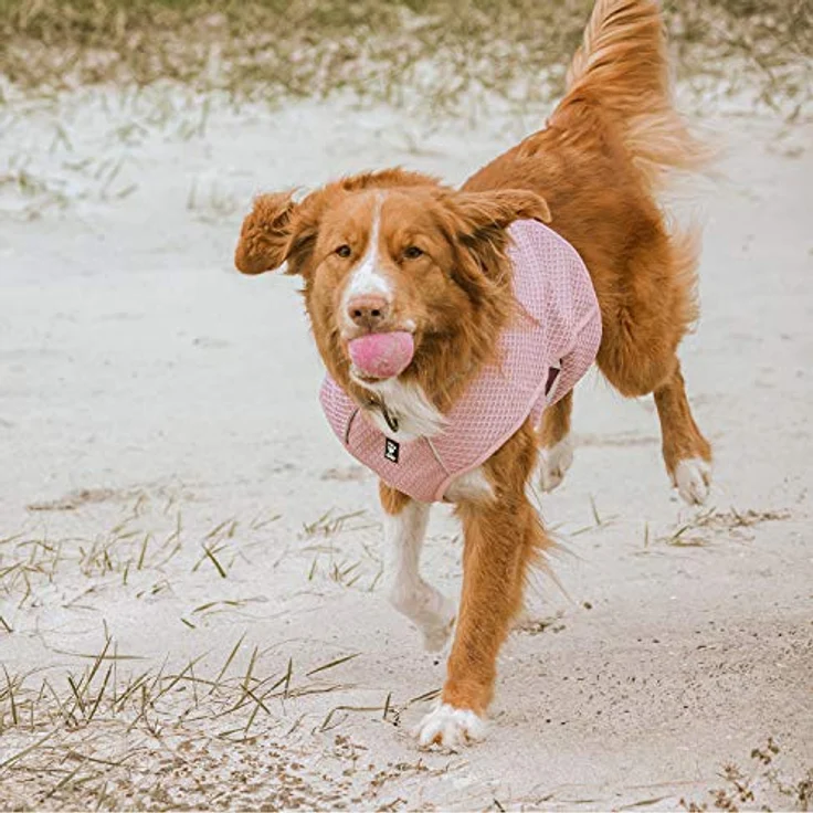Hurtta Cooling Wrap cooling vest, clove, 75 - 85 cm (Hundemantel), Hundebekleidung – Bild 3