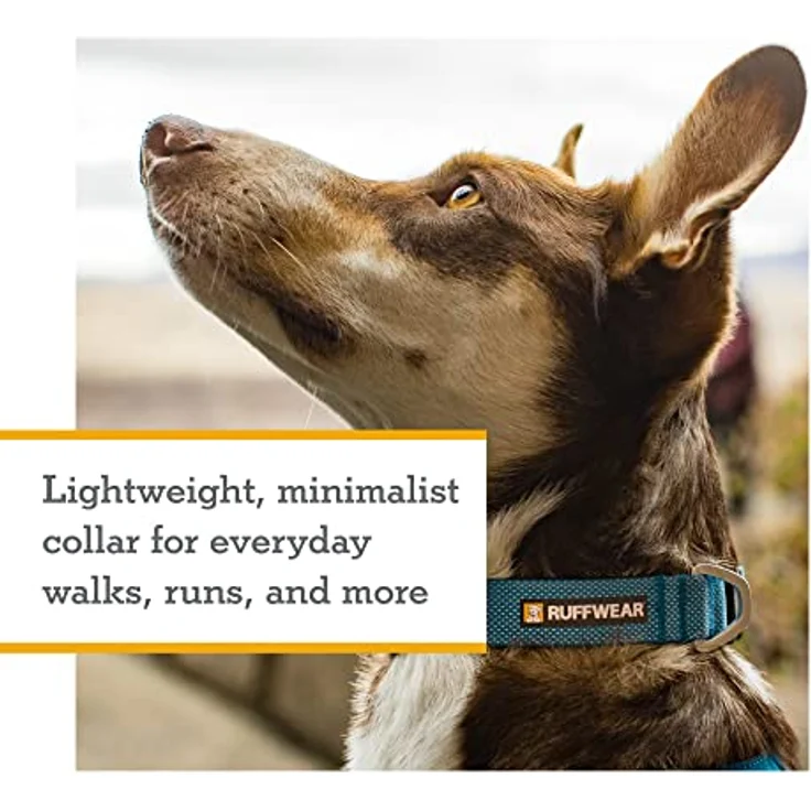 RUFFWEAR Hundehalsband Hi & Light, ultrastark und leicht, Starkes Tubelok-Gewebe, Aluminium-Leinenbefestigungsring und Schnalle, stilvolles Halsband, Blue Dusk (L, 51-66cm) – Bild 2