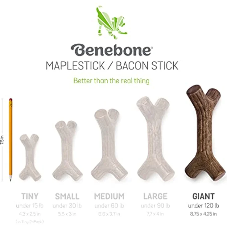 Benebone Maplestick XL, 15cm - (854111004934), Hundespielzeug – Bild 6