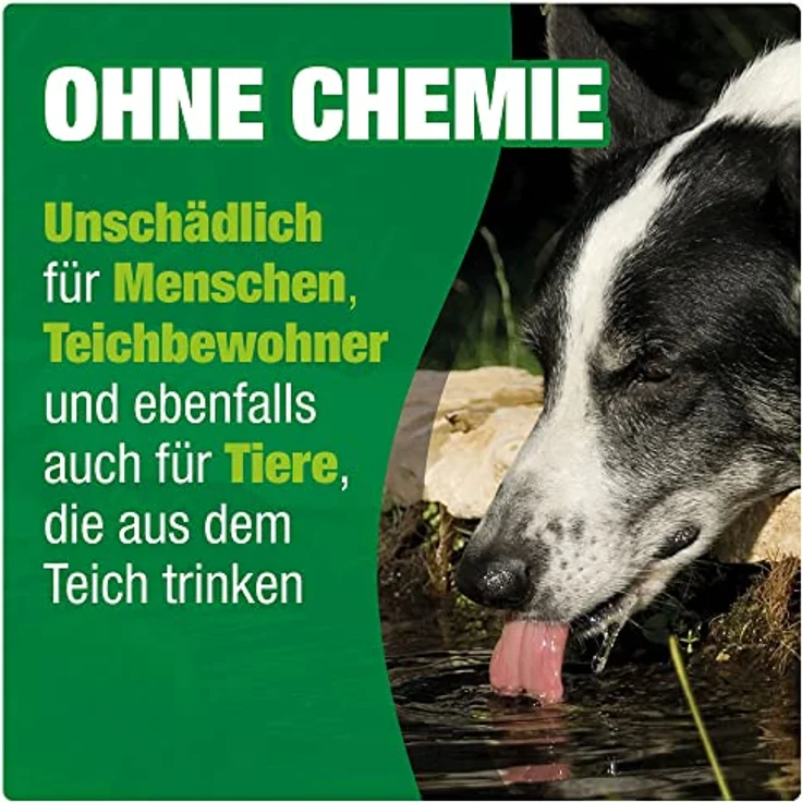 AQUALITY Gartenteich Wasseraufbereiter Pond 3in1 (Macht aus Leitungswasser fischgerechtes Teichwasser - Mit Aloe Vera, Vitamine - Schleimhautschutz), Inhalt:5 Liter – Bild 4