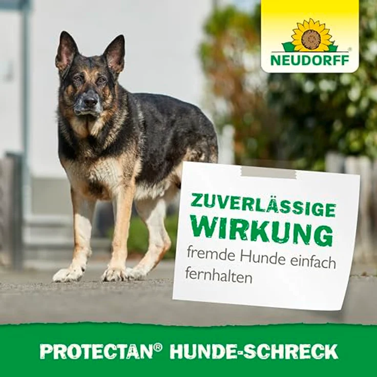 Neudorff Protectan Hunde-Schreck 200 g, langanhaltendes Hundeabwehr-Granulat, deckt 13 m ab, mit natürlichen Duftstoffen – Bild 6
