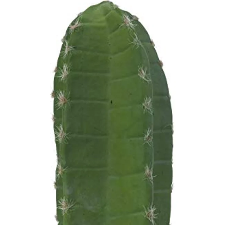 EUROPALMS Mexikanischer Kaktus, Kunstpflanze, 97 cm, grüner Säulenkaktus aus hochwertigem Kunststoff – Bild 3