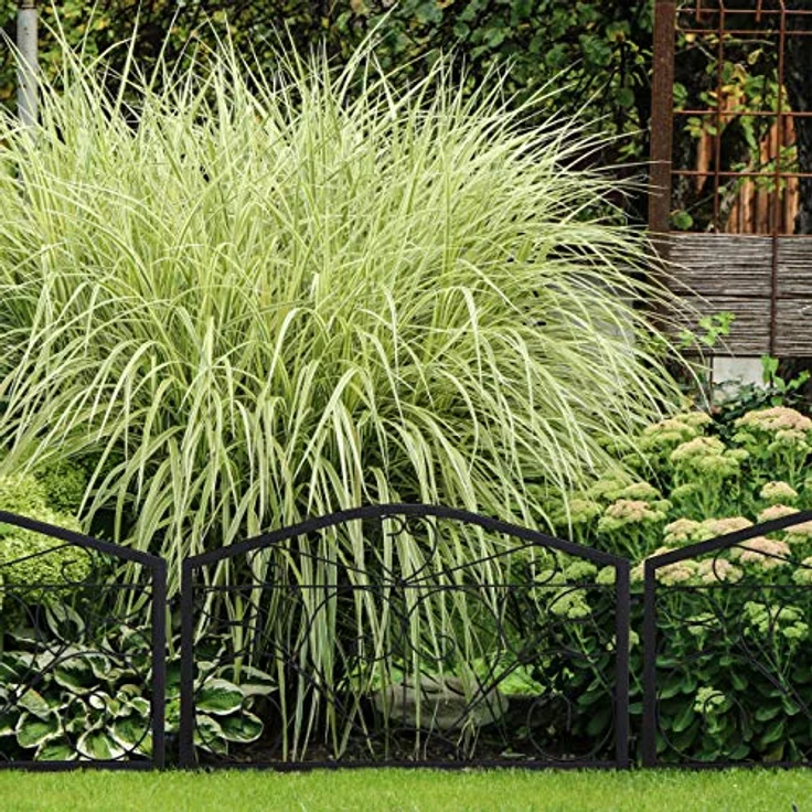 relaxdays Beetbegrenzung Beetzaun 4-teilig antik, Schwarzer Dekozaun aus Eisen, Niedrige Höhe zur klaren Abgrenzung im Garten – Bild 2