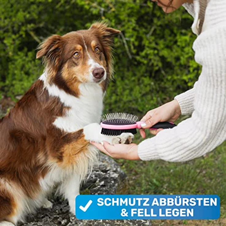 BluePet "DoppelDecker" 2in1 Hundebürste für Langhaar & Kurzhaar - Auch für Welpen & Katzen - Glätten, Entwirren, Ausbürsten - Allround-Talent für die tägliche Fellpflege – Bild 4