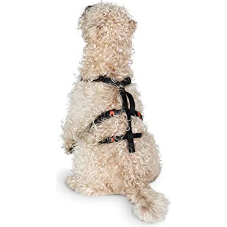 Karlie Art Sportiv Sicherheitsgeschirr, stufenlos verstellbar, Nylongurte mit Neopren, für Brustumfang 29-40 cm, schwarz – Bild 2