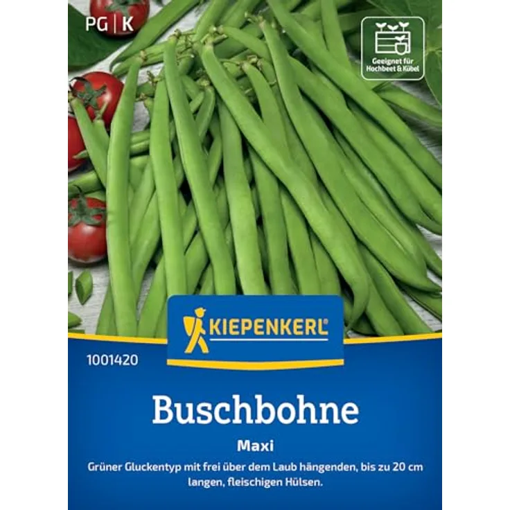 Kiepenkerl Buschbohnen Maxi, frühe Ernte mit robusten Pflanzen und 18-20 cm langen Hülsen